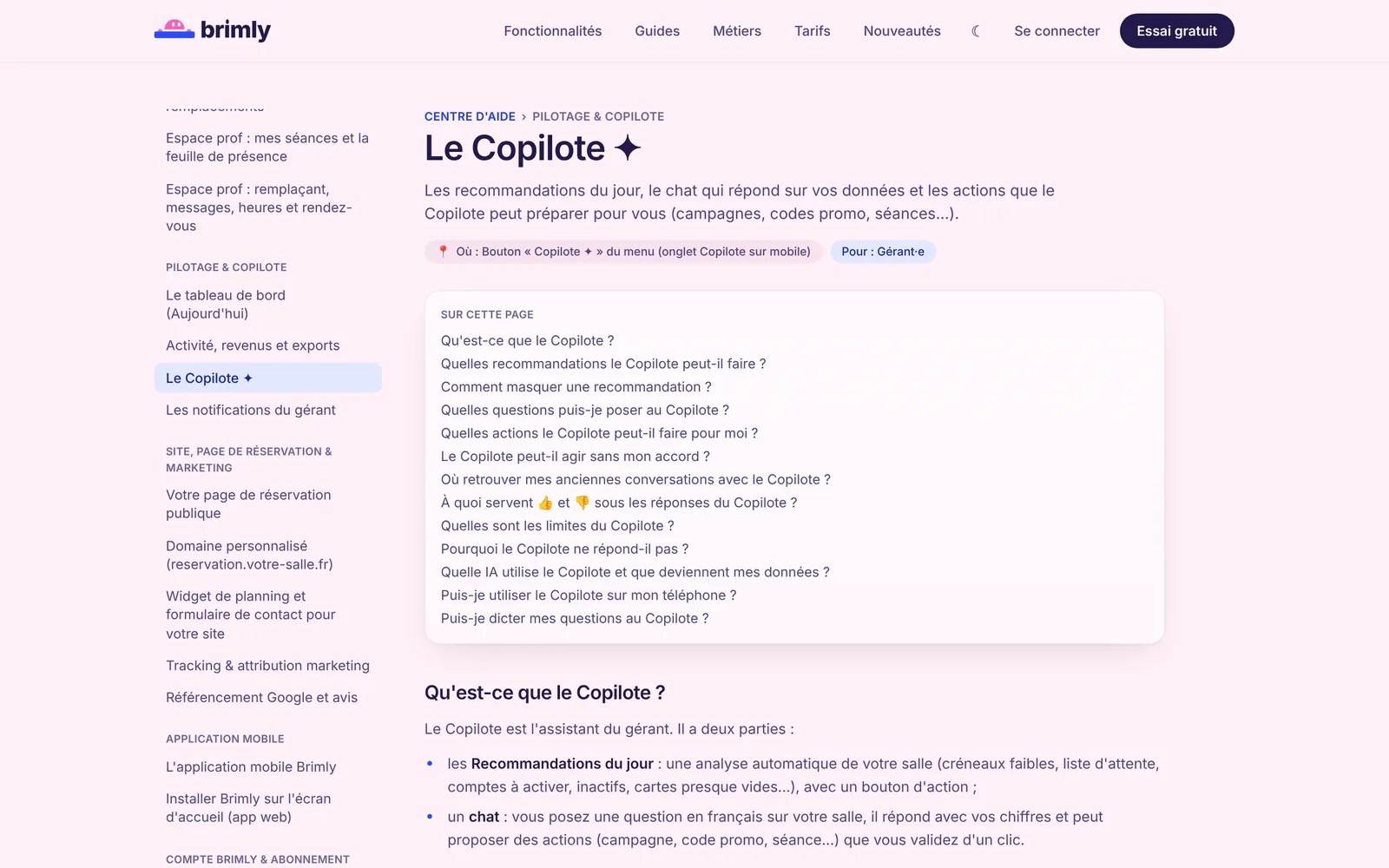 Page du centre d'aide consacrée au Copilote : sommaire des questions et explications